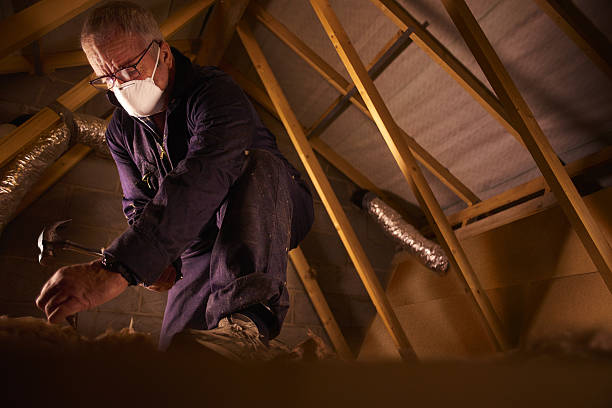 Best Eco-Friendly Insulation in Geronimo, OK